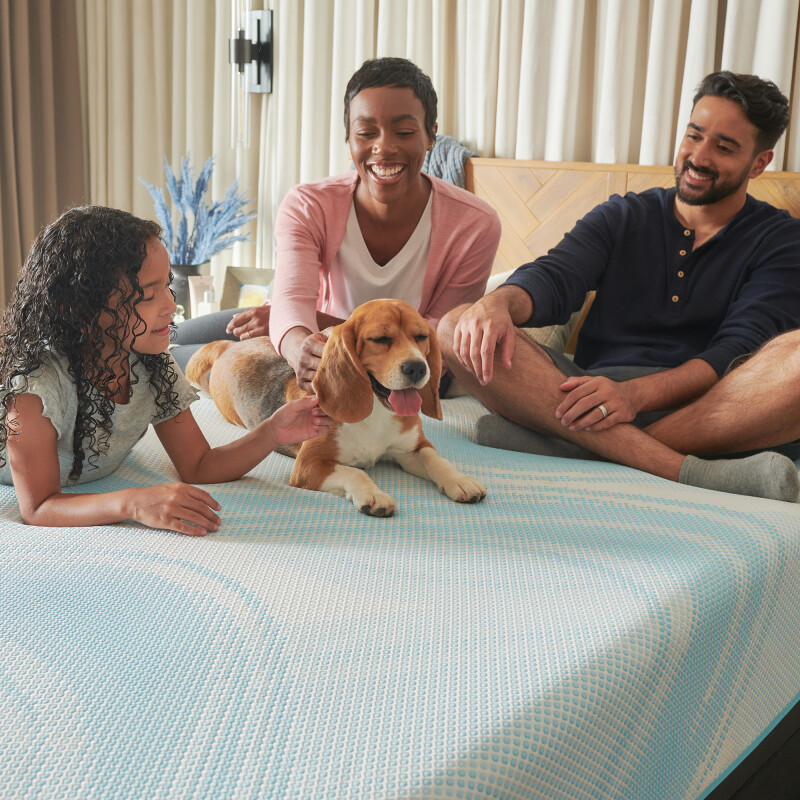 Tempur-LuxeBreeze® Medium Hybrid Twin XL 10238231