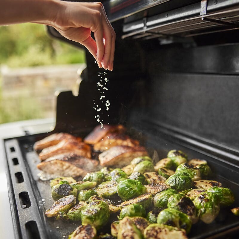 Summit® FS38 E Gas Grill (Natural Gas) view 2