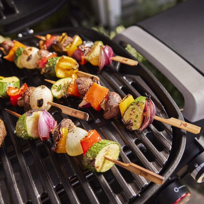 Q 2800N+ Gas Grill (Liquid Propane) view 2