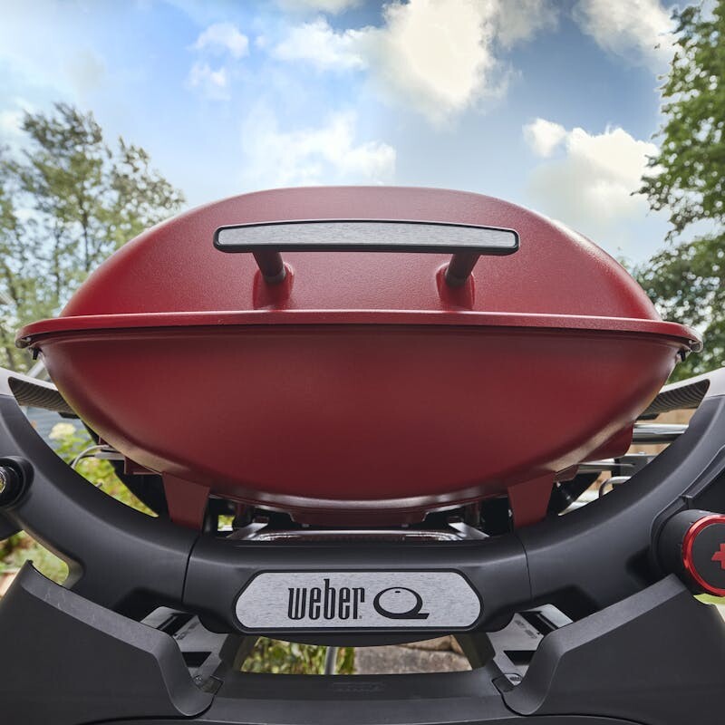 Q 2800N+ Gas Grill (Liquid Propane) 1500377