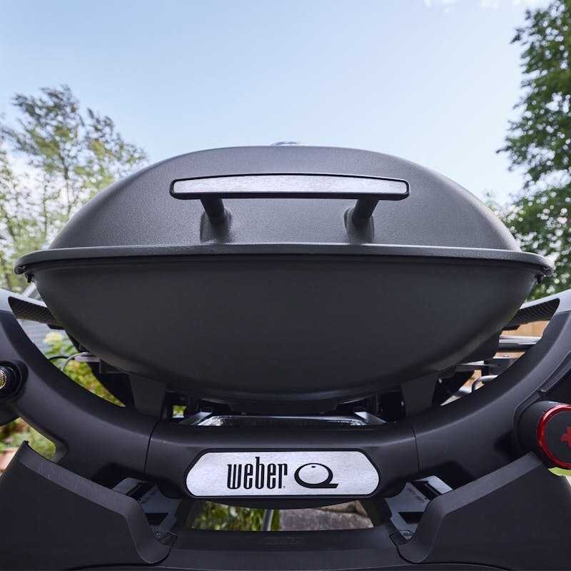 Q 2800N+ Gas Grill (Liquid Propane) 1500378