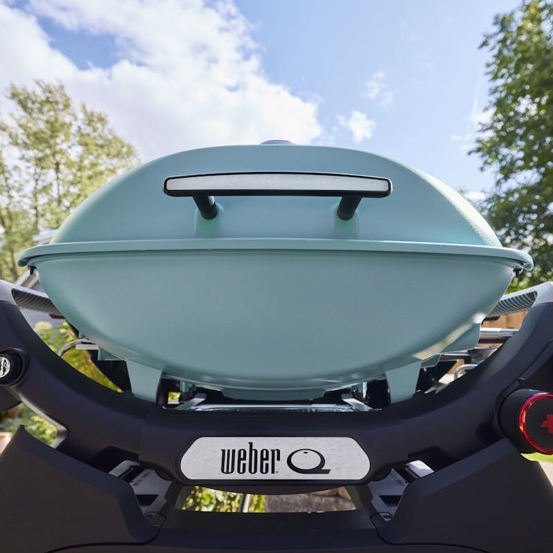 Q 2800N+ Gas Grill (Liquid Propane) 1500379