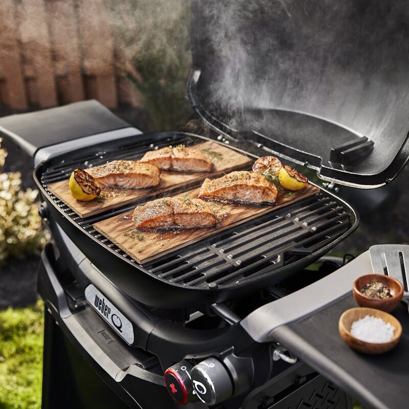 Q 2800N+ Gas Grill with Stand (Liquid Propane) view 2