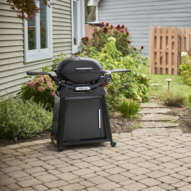 Q 2800N+ Gas Grill with Stand (Liquid Propane) view 5
