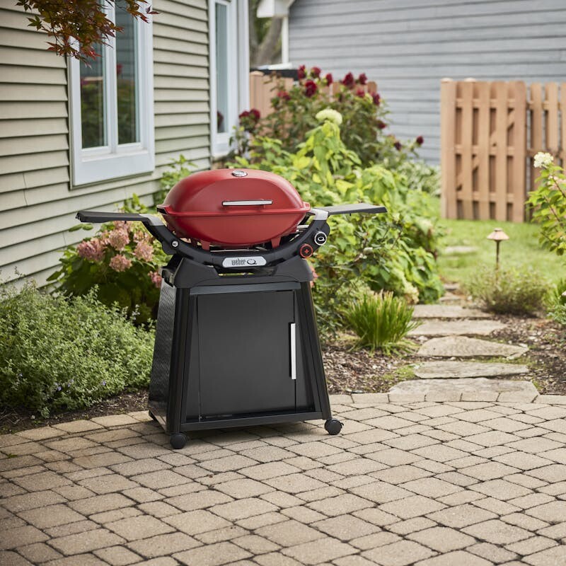 Q 2800N+ Gas Grill with Stand (Liquid Propane) view 5
