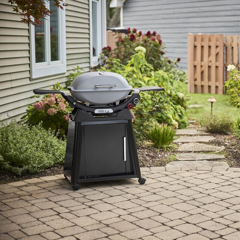 Q 2800N+ Gas Grill with Stand (Liquid Propane) 1500392