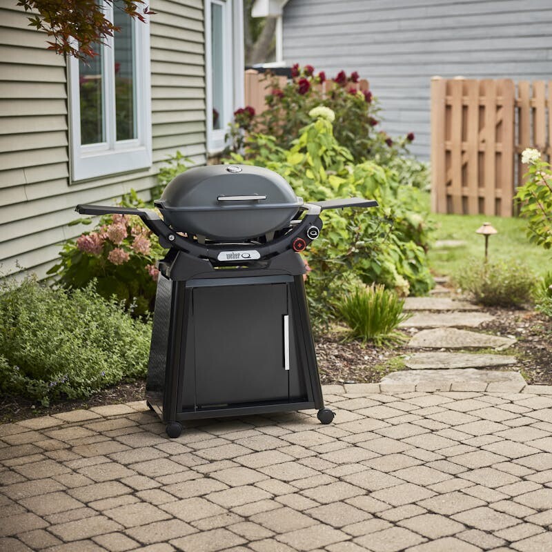 Q 2800N+ Gas Grill with Stand (Liquid Propane) 1500393