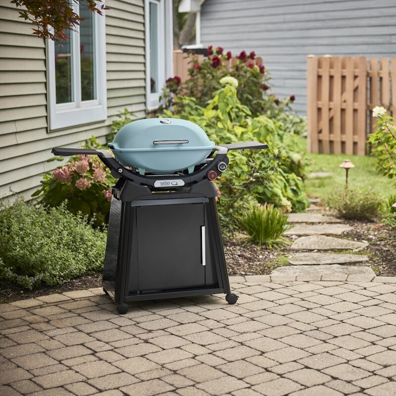 Q 2800N+ Gas Grill with Stand (Liquid Propane) view 5