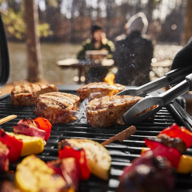 Weber Traveler® Compact Portable Gas Grill view 9