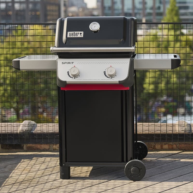 Spirit® E-210 Gas Grill (Liquid Propane) view 9