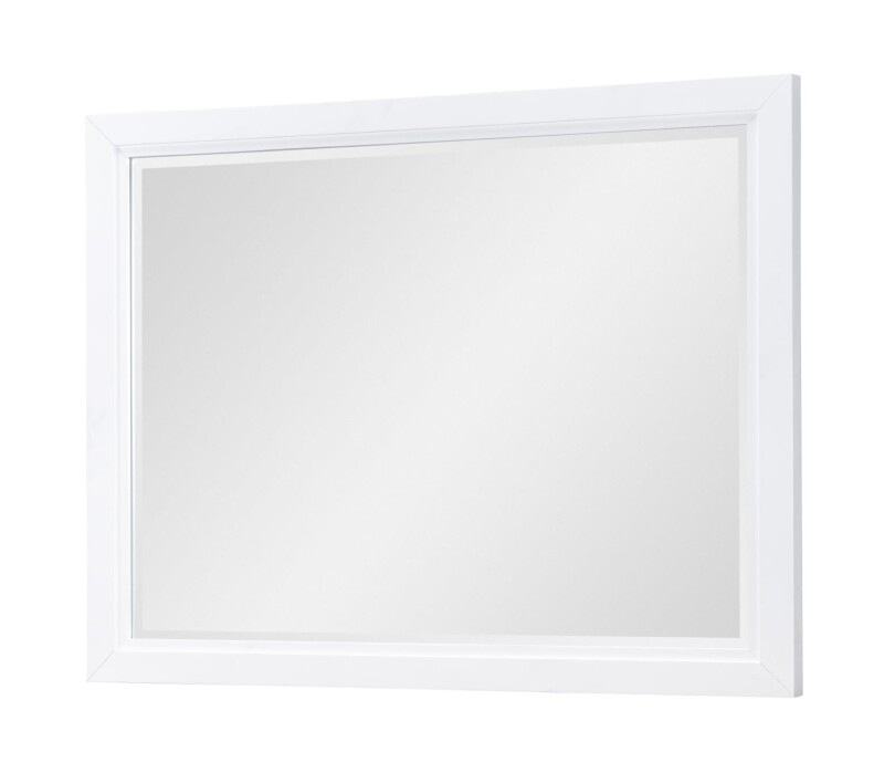 Mirror 16610200