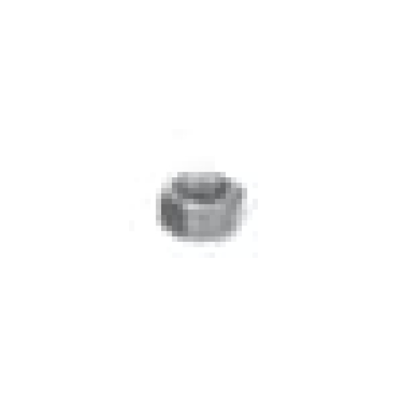 M 5 Nut 172100003