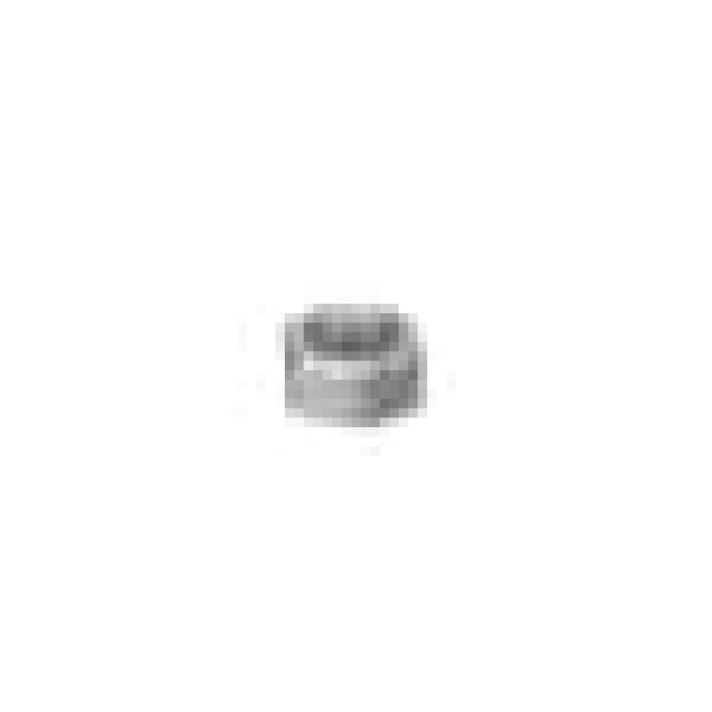 M 5 Nut 172100003