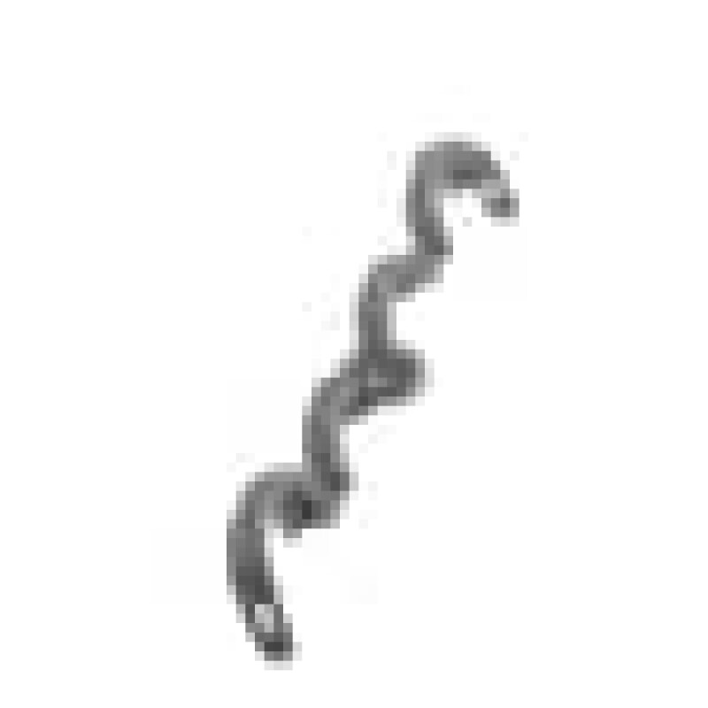 Angora Drain Hose Lock 1783540100