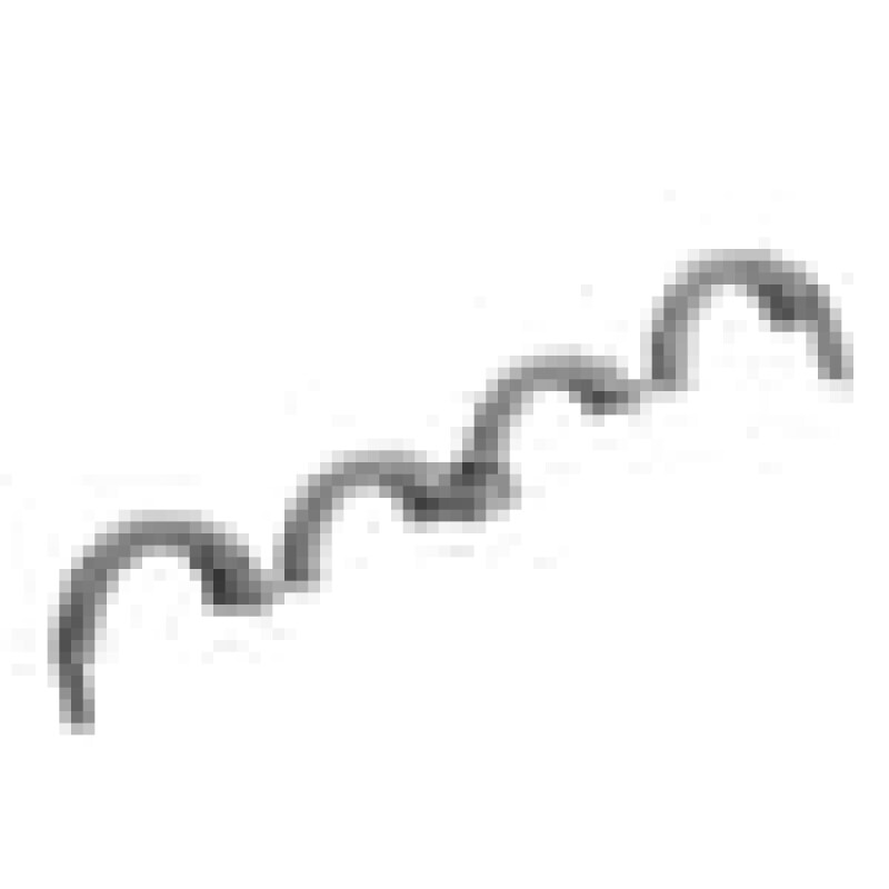Angora Drain Hose Lock 1783540100