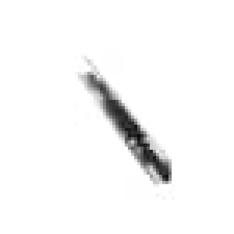 Hinge Support Sheet_30 Inch_usa 217600093, product image 6 of 9