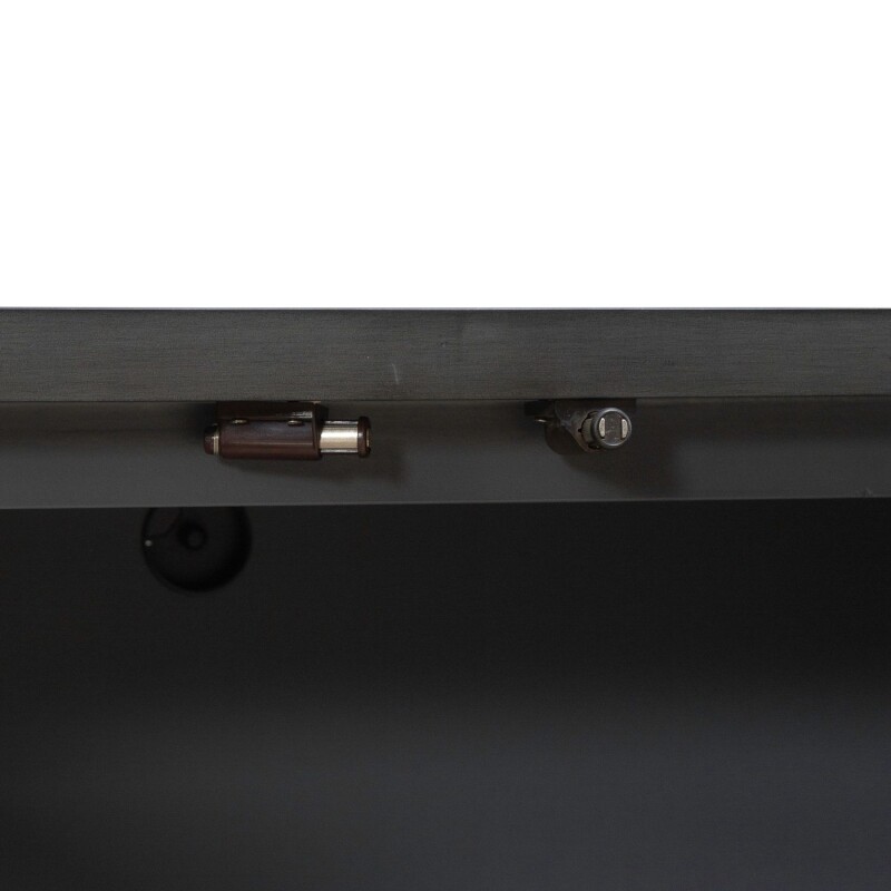 Fiore 4 Door Accent Cabinet 2231AC1000