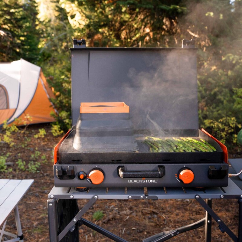 20x14" Camping Griddle 2246