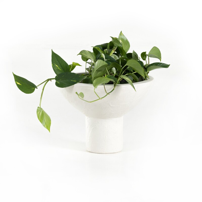 Pressler Outdoor Planter, Set Of 2 - 229457-001 229457001