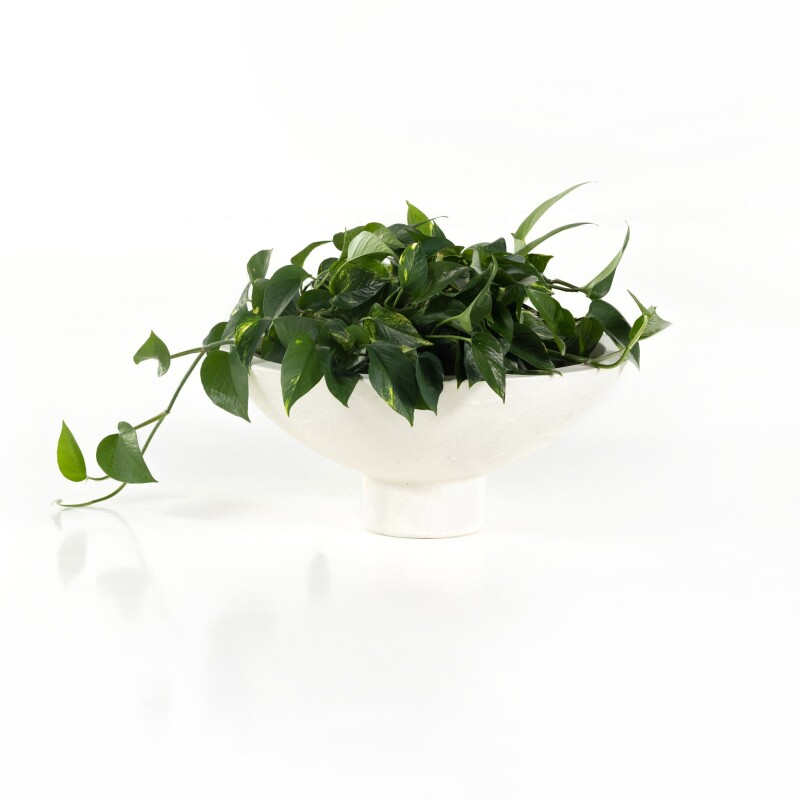 Pressler Outdoor Planter, Set Of 2 - 229457-001 229457001