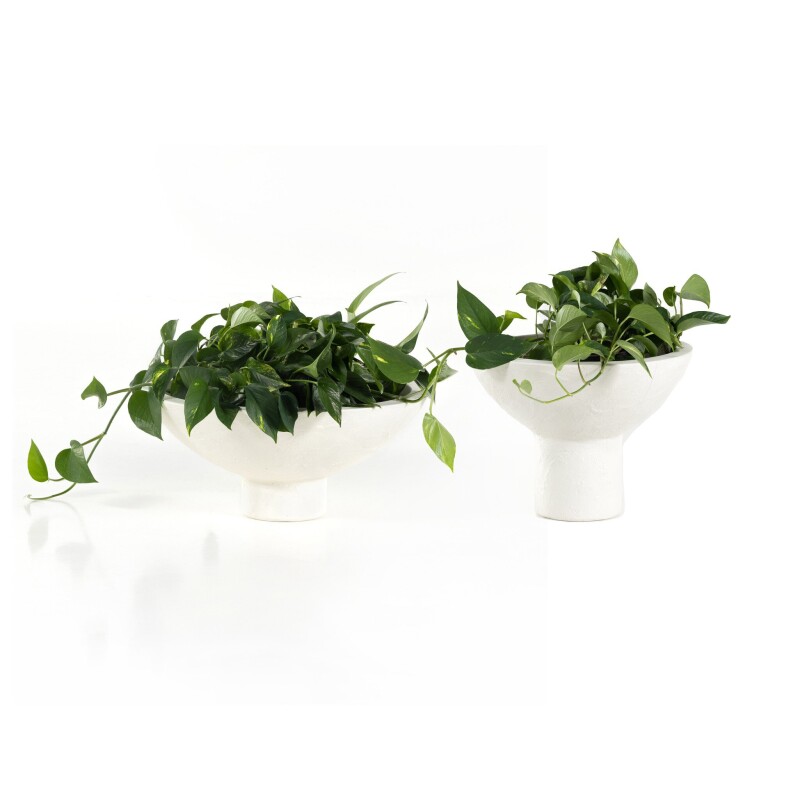Pressler Outdoor Planter, Set Of 2 - 229457-001 229457001