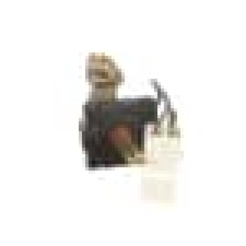 4000_Btu_auxillary_burner Tap 231600001, product image 7 of 9