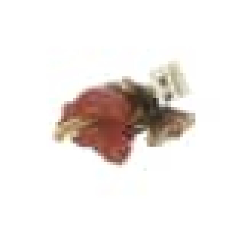 9000_Btu_fish_burner_tap 231600019, product image 8 of 9