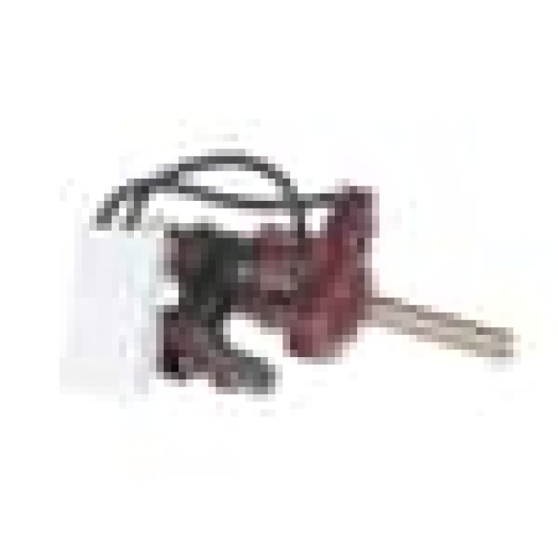 10500_Btu_rapid Burner Tap 231600020