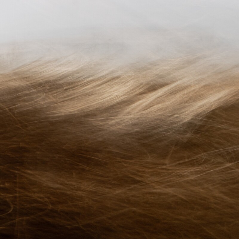 Reality Unfurled by Toni Toscano - 236393-006 236393006