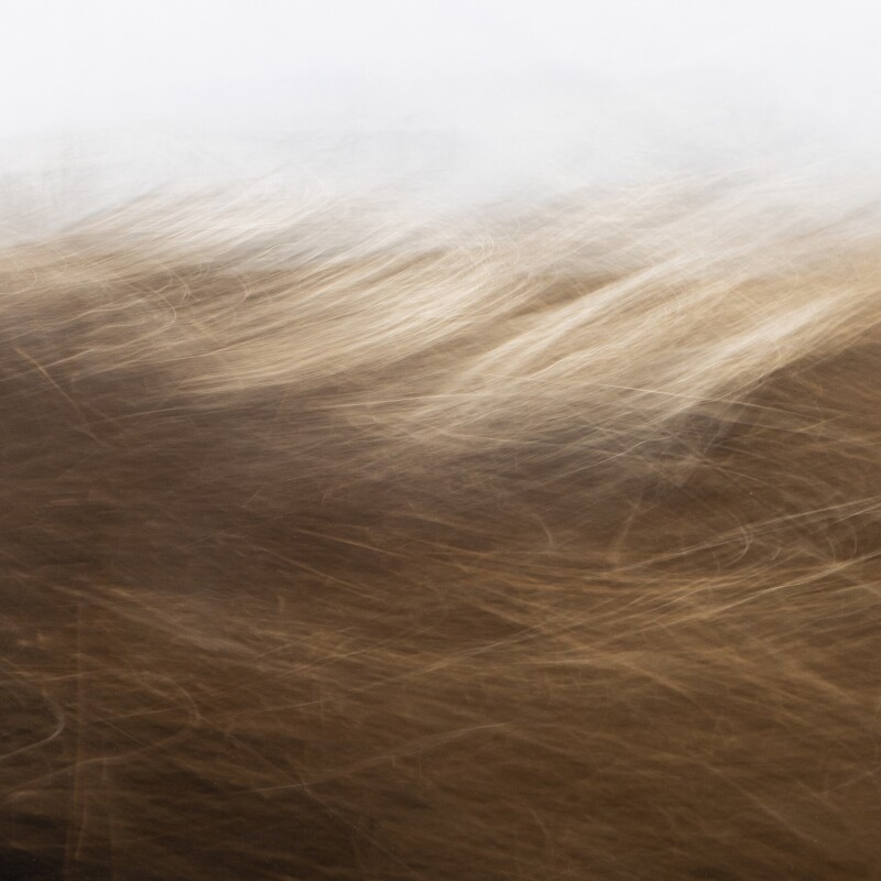 Reality Unfurled by Toni Toscano - 236394-002 236394002