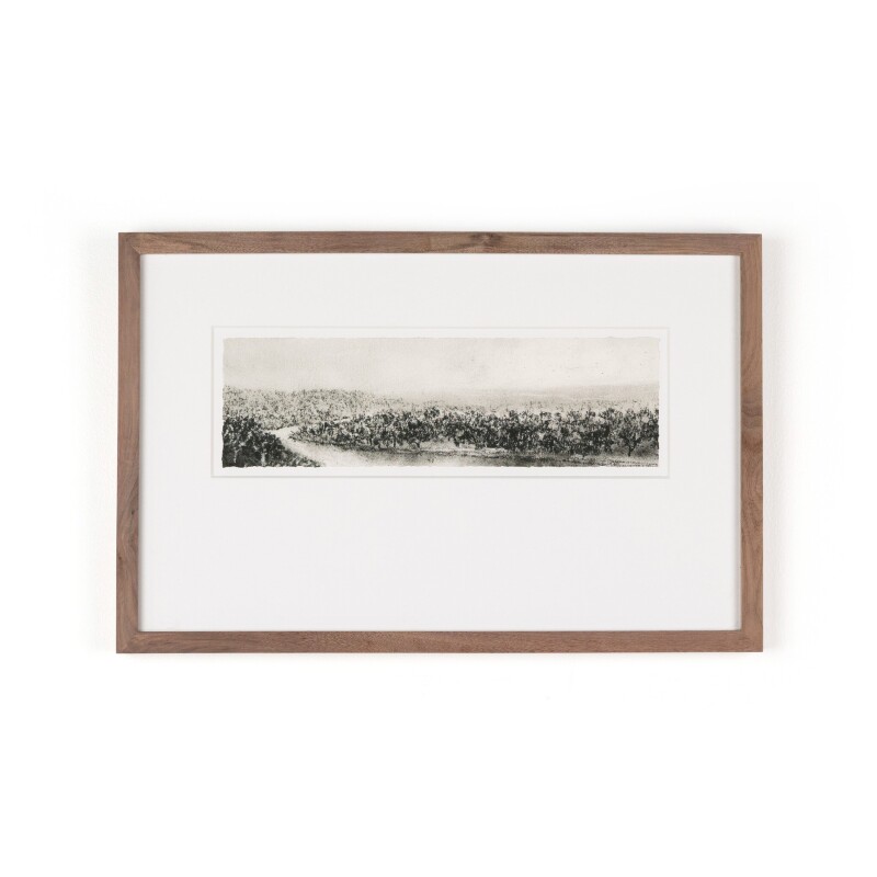 Hill Country Study II by Aileen Fitzgerald - 237128-001 237128001