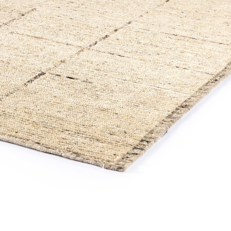 Shervin Hand Knotted Rug 8'x10' - 238088-001 238088001