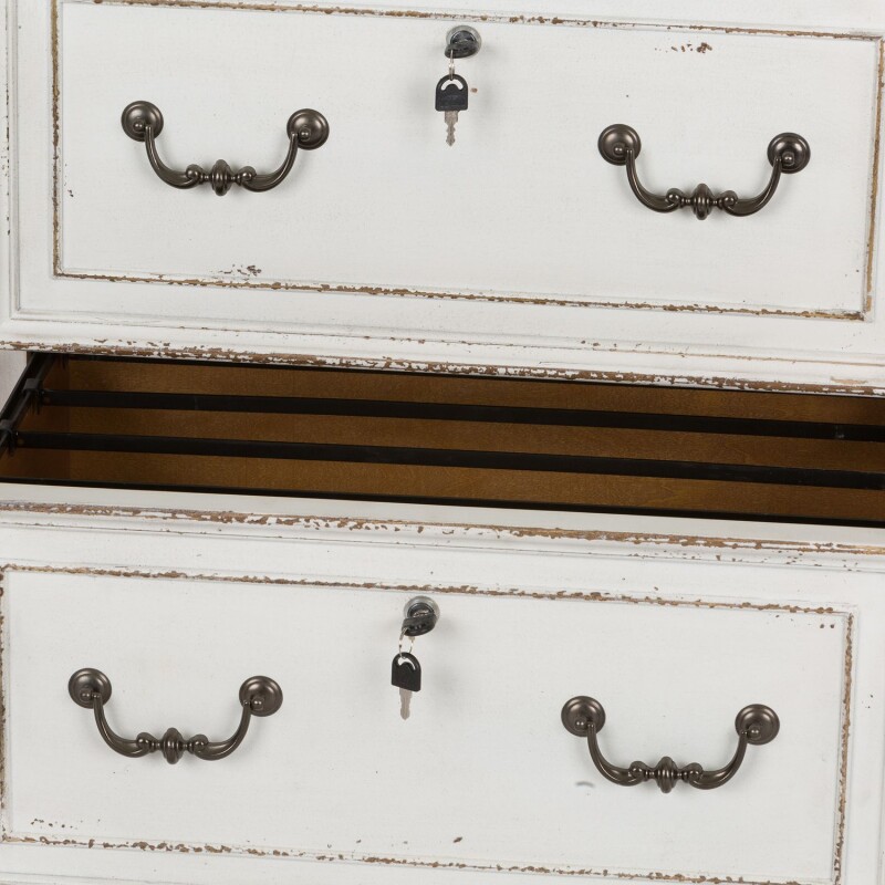 Magnolia Manor Jr Executive Media Lateral File 244HO146