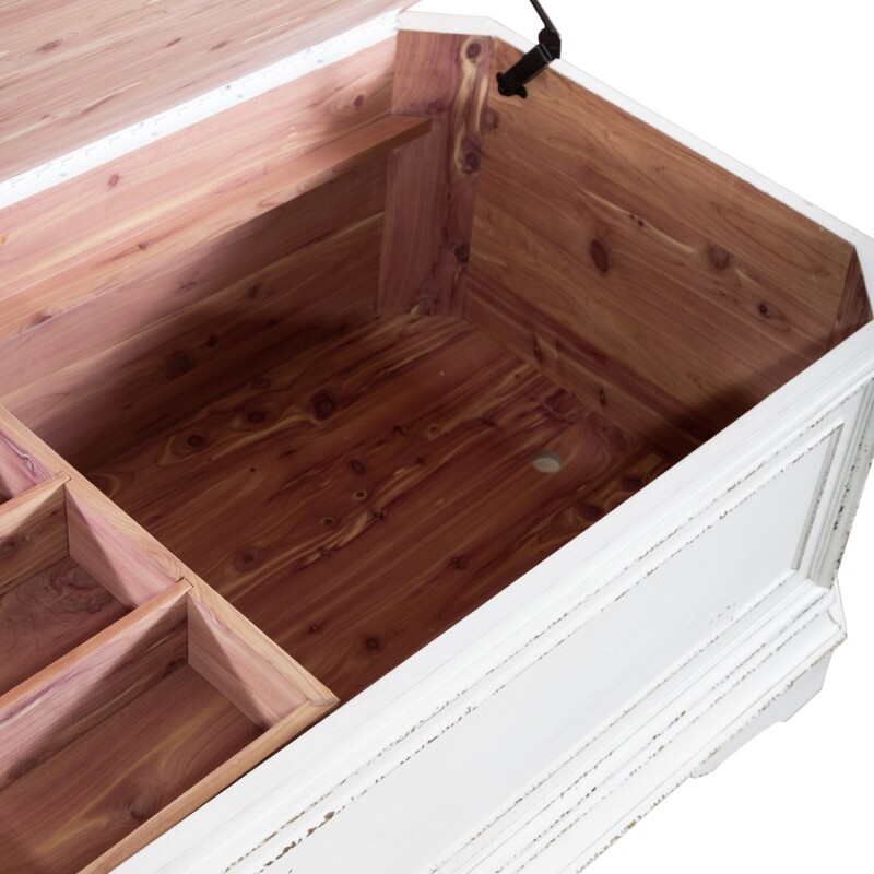 Magnolia Manor Storage Trunk 244OT1013