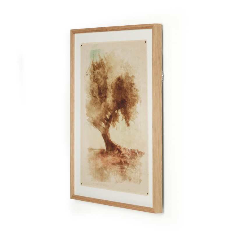Undone Cypress by Coup D'esprit - 247411-002 247411002