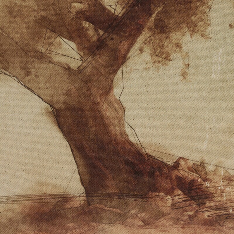 Undone Cypress by Coup D'esprit - 247411-002 247411002