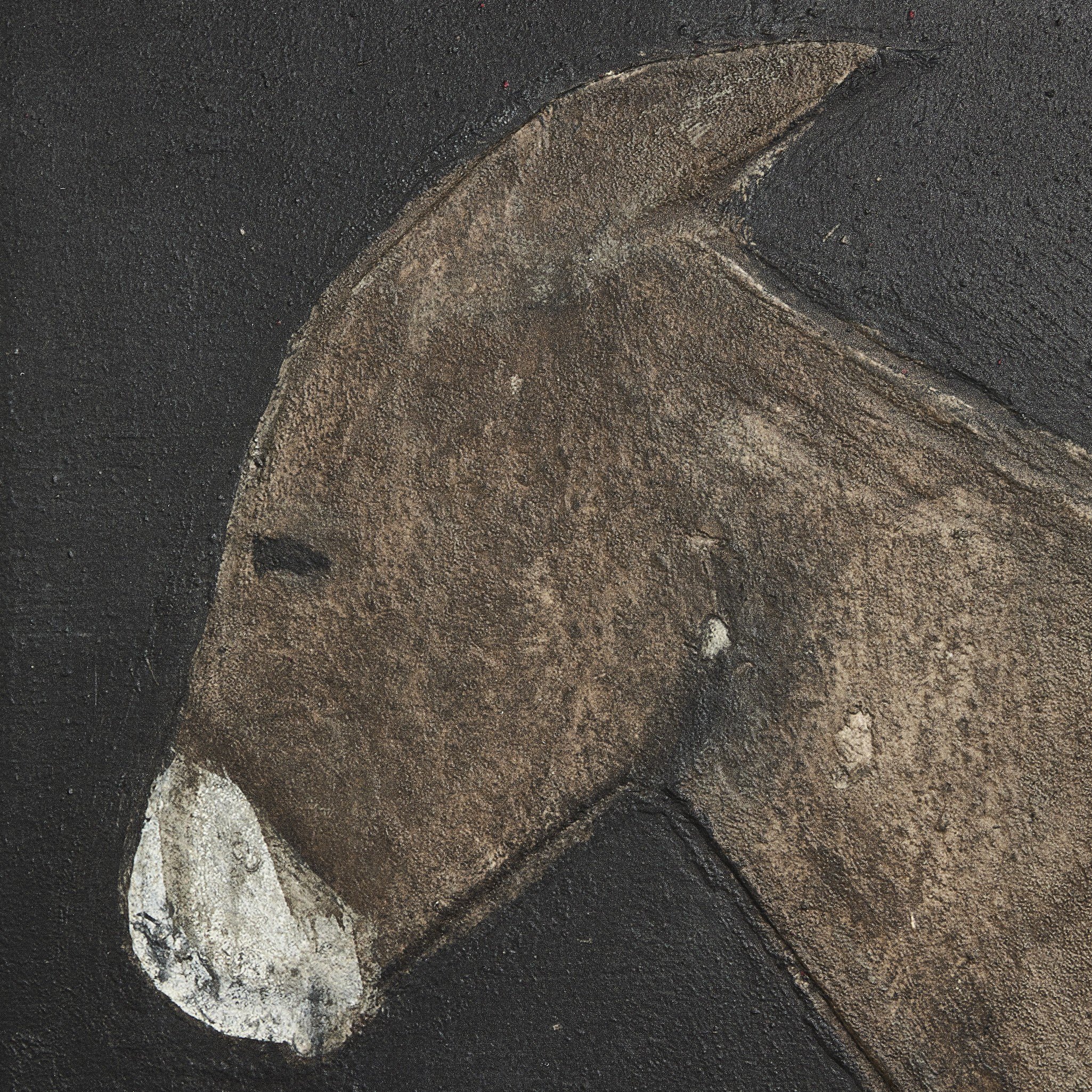 Burro Noche by Paul Meyer - 248735-002 248735002
