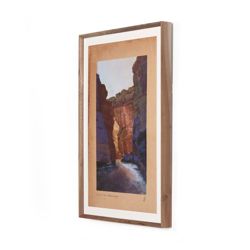 Desert VI by Aileen Fitzgerald - 249877-002 249877002