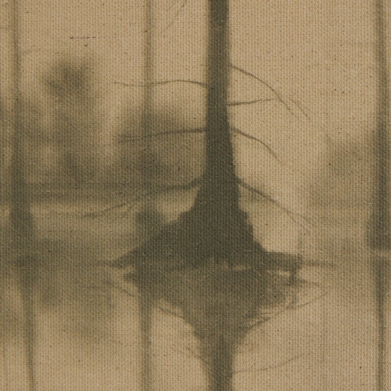Reflection by Chelsea Fly - 250076-001 250076001