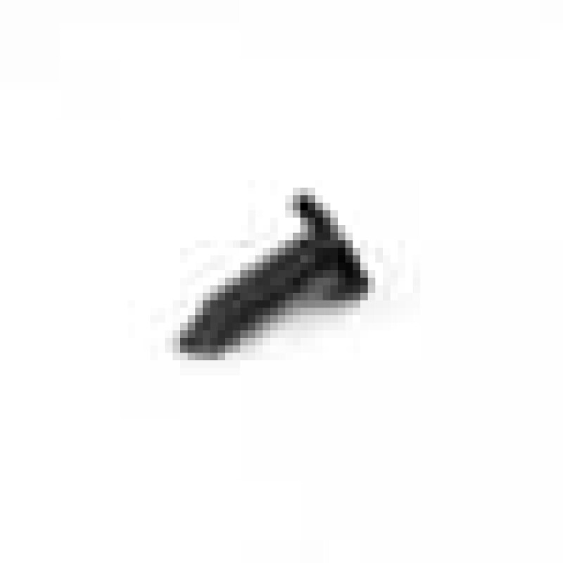 Oven Foot 250100054
