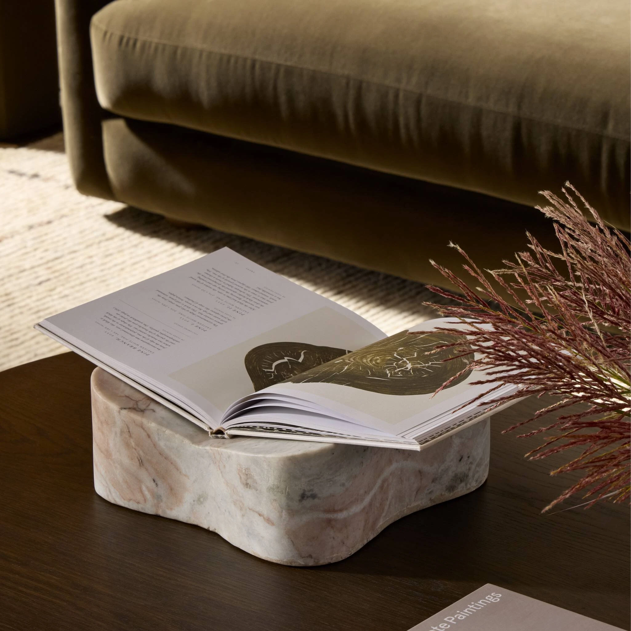 Elara Book Display - 251536-001 251536001