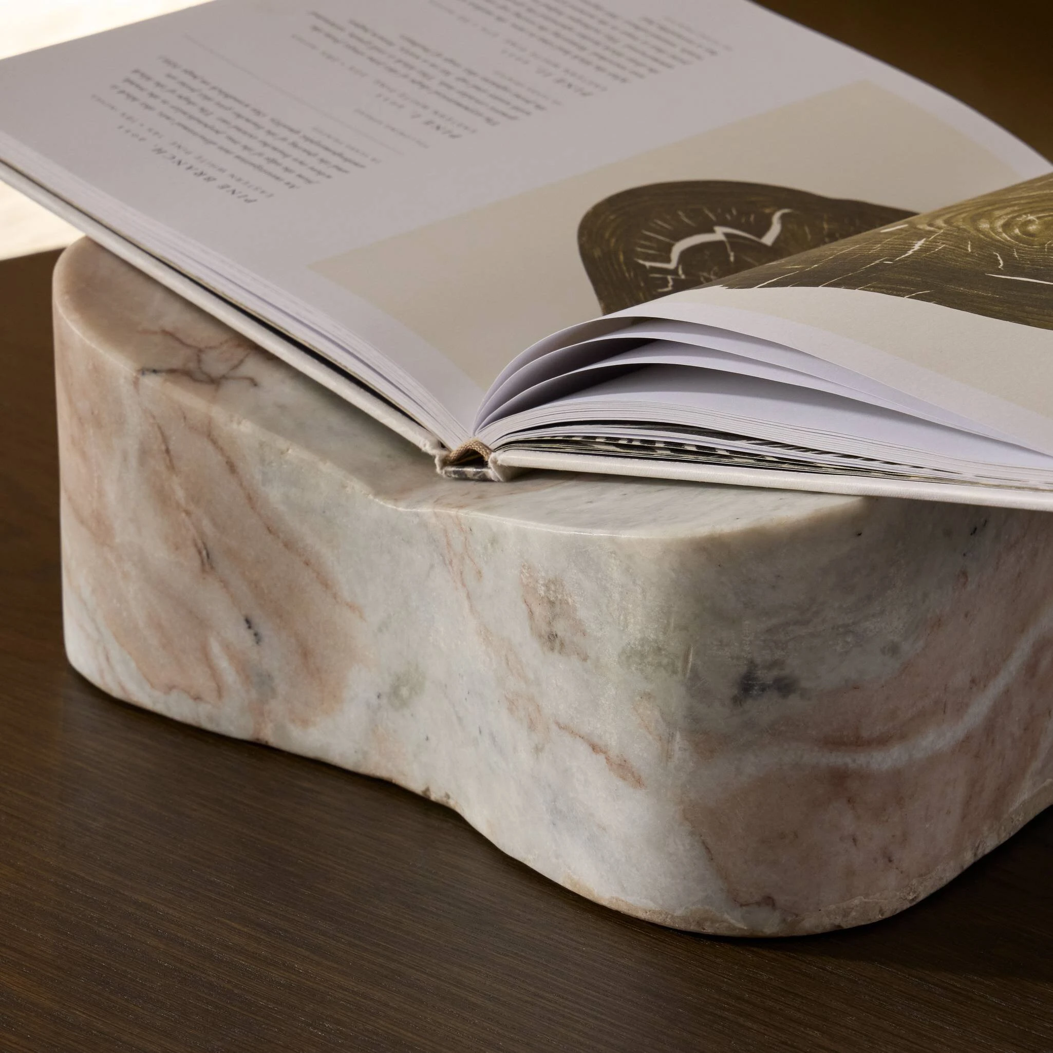 Elara Book Display - 251536-001 251536001