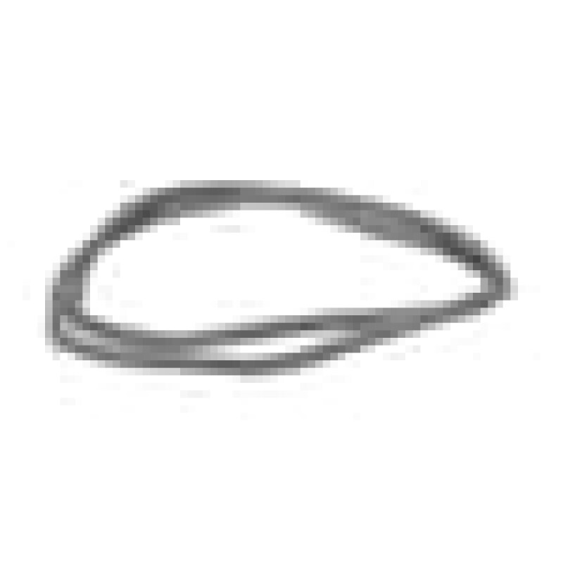 Front Door Gap O Seal 255440102