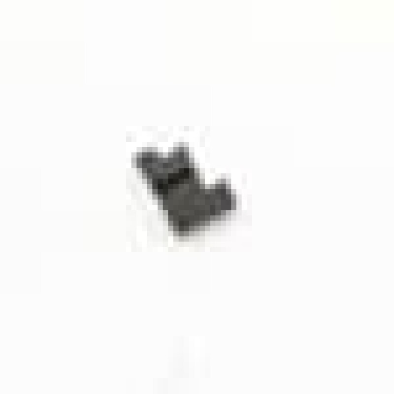 Front Door Gap Seal Right 255440108