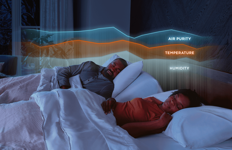 TEMPUR-Ergo® ProSmart™ Base King 25554161