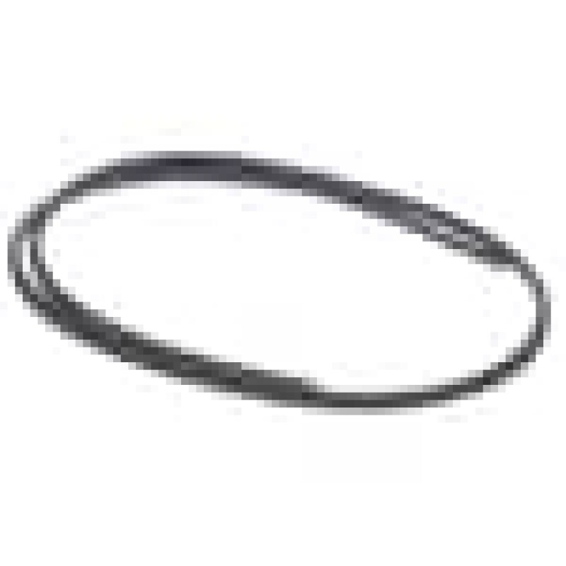 Bottom Door Seal 255600008