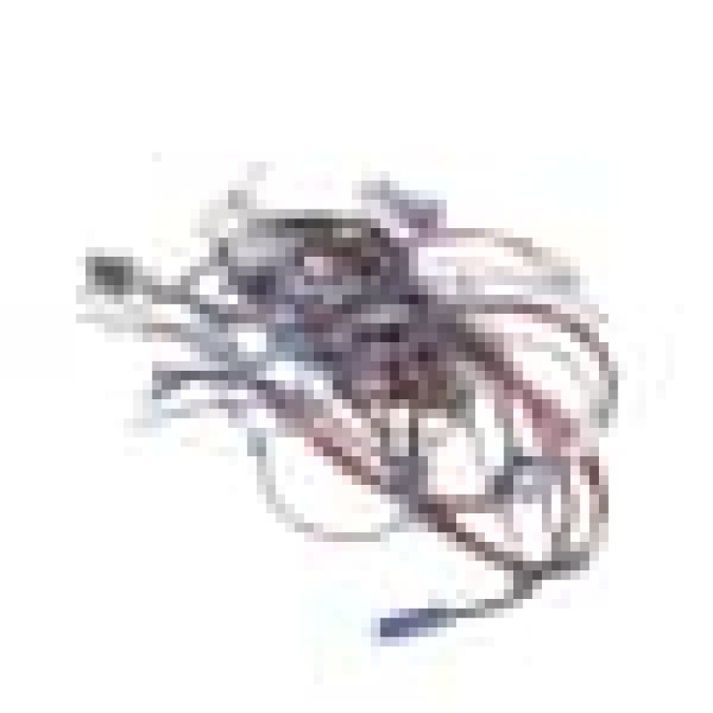 Cable Group 260605010, product image 3 of 9