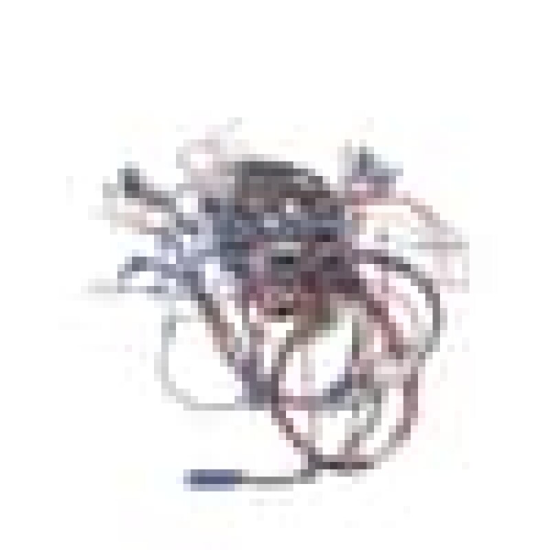 Cable Group 260605010, product image 4 of 9
