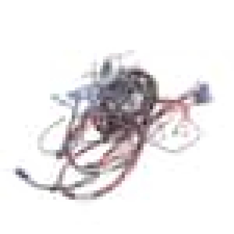Cable Group 260605010, product image 6 of 9