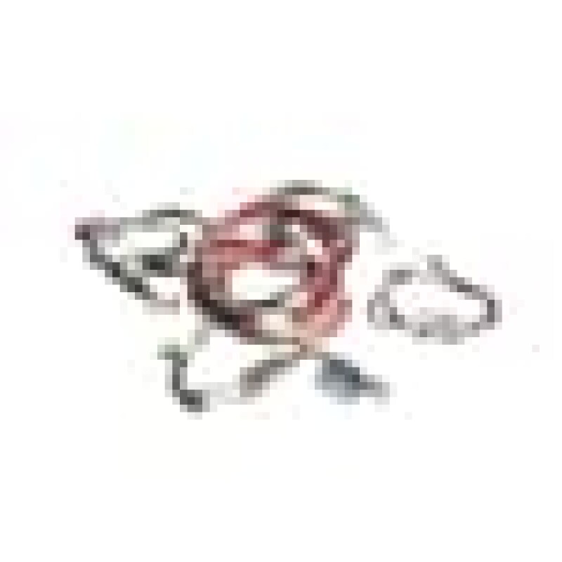 Cable Group 260605017